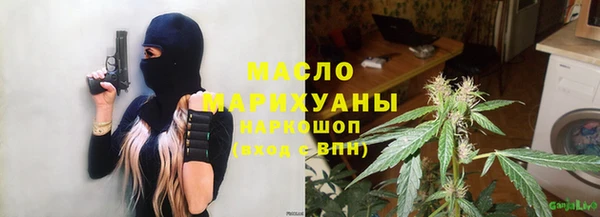 крисы Баксан