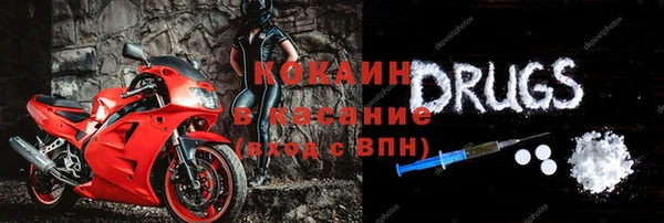 крисы Баксан