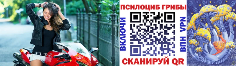 Псилоцибиновые грибы Cubensis  Фатеж 